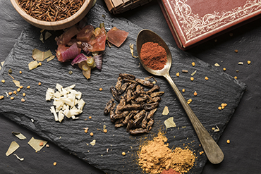 Bugs in Mugs III  À la découverte des insectes comestibles