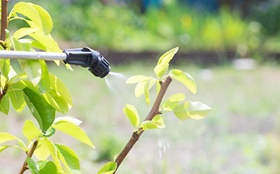 ADINBIO  Valorisation de nouveaux biofongicides en champs actifs contre les agents de mildiou et pathogènes ascomycètes intégrés dans une formulation écologique composée dadjuvants biosourcés