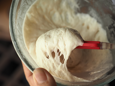 BREADSTARTER  Développement de formulations de levains boulangers à usage domestique possédant une activité probiotique stabilisée