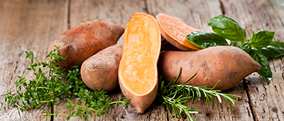 Patate douce au Bénin  Variétés performantes pour la patate douce à chair orange au Bénin 